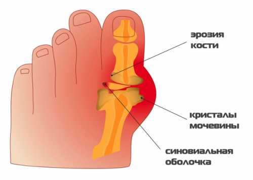 симптомы болезней у собак и их лечение